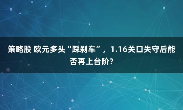 策略股 欧元多头“踩刹车”，1.16关口失守后能否再上台阶？