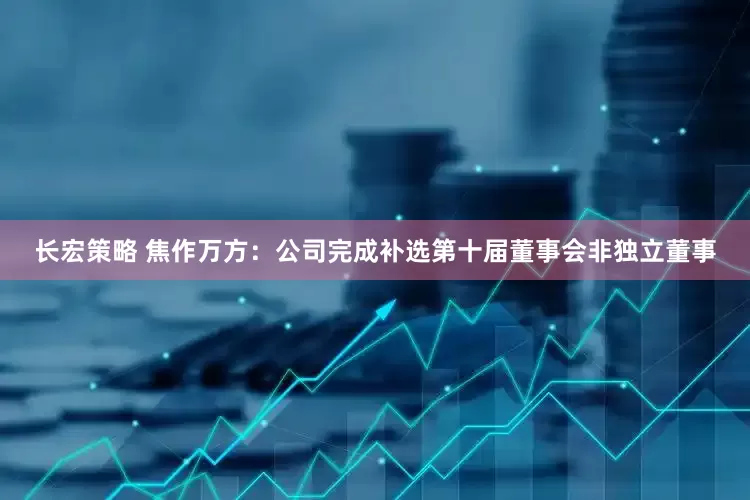 长宏策略 焦作万方：公司完成补选第十届董事会非独立董事